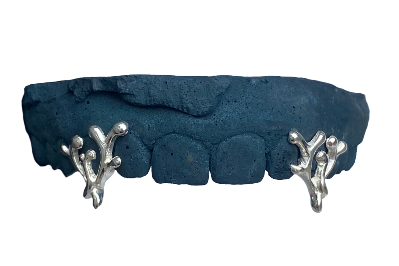 Botanical twist fangs