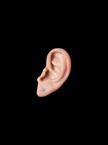 CLOUS D'OREILLES MINI ORGANISM
